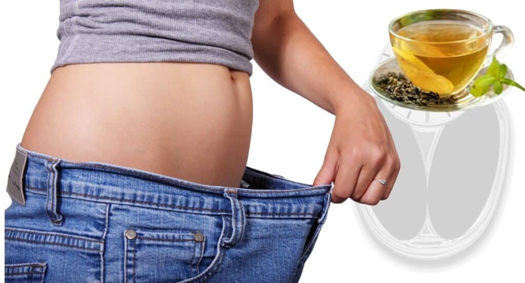 Green tea for weight loss