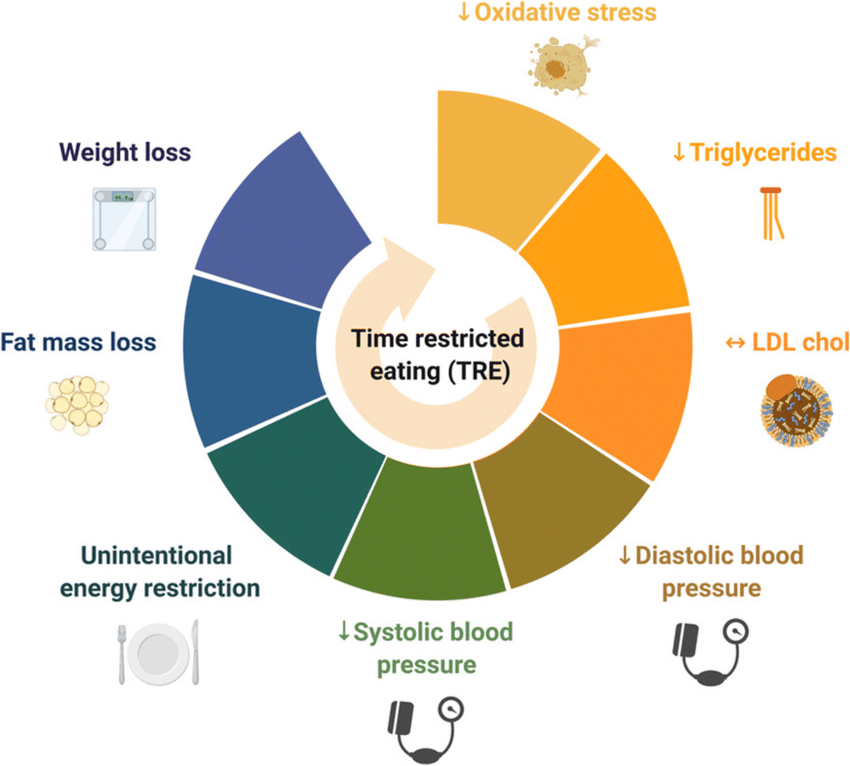 benefits of Time-Restricted Eating 