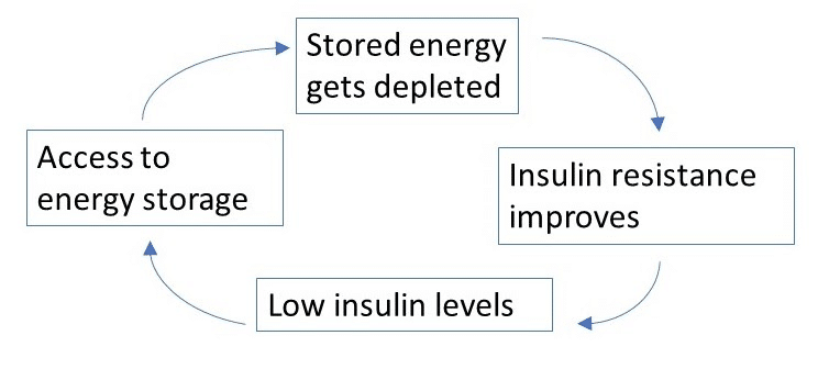 Insulin resistance during Intermittent fasting