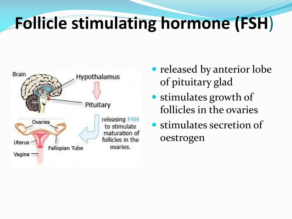 follicle-stimulating hormone for women