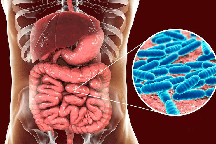 Image showing about GUT health