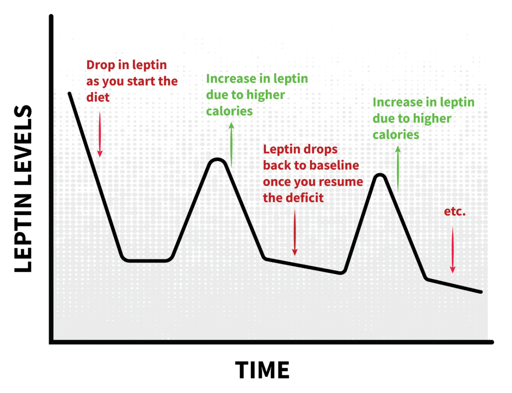 How Cheat days can impact leptin production